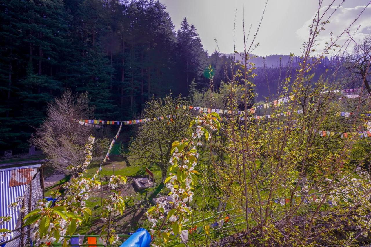 مايالي Rama'S Green Forest المظهر الخارجي الصورة